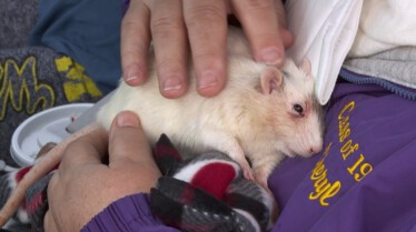 Incroyable Dr Pol (4).JPG