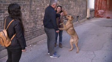 Cesar Millan (4).jpg