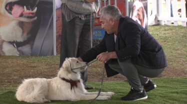 Cesar Millan (3).jpg