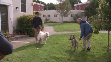 Cesar Millan (2).jpg