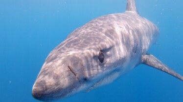 un monde mortel (3).JPG