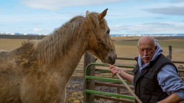 incroyable Dr Pol (1).JPG