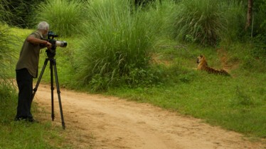 le tigre le plus celebre (1).jpg