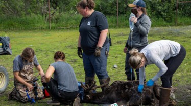 Michelle ou la vie sauvage (1).jpg