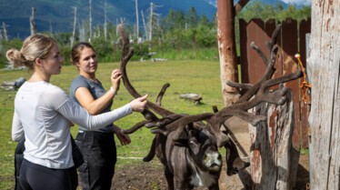 Michelle ou la vie sauvage (2).jpg
