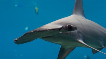 un monde mortel (1).JPG