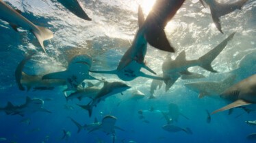 un monde mortel (2).JPG