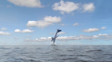 Air Crash Investigation (4).jpg