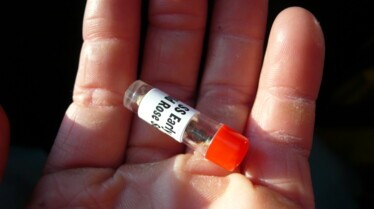 Inside cannabis medical (1).JPG