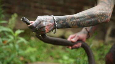 Snakes in the city (9).jpg