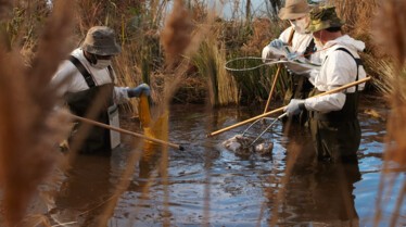 Air Crash Investigation (2).jpg