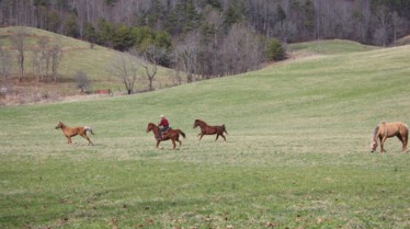 Ma vie sauvage (3).jpg