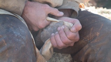 La course de l'évolution (2).jpg