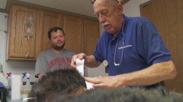 Dr Pol (2).jpg