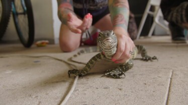 Snakes in the city (3).jpg
