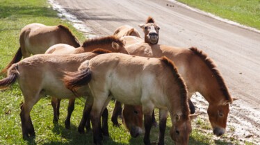 Au coeur d'un zoo (3).jpg