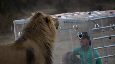 Man vs Lion (3).jpg
