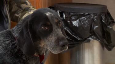 Dr Pol (3).JPG