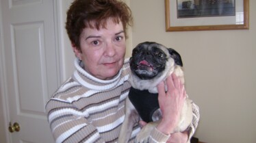 Festin de chien (2).JPG
