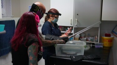 Snakes in the city (4).jpg