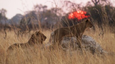Un monde mortel (4).JPG