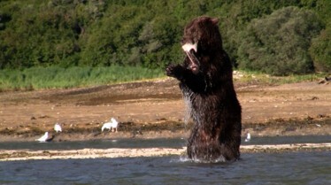 Un monde mortel (5).JPG