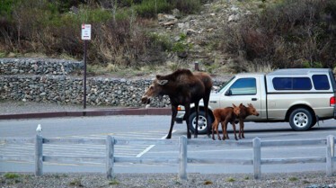 Un monde mortel (6).JPG