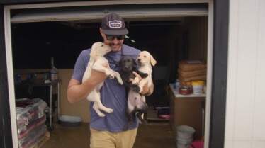 Une vie de chien (3).JPG