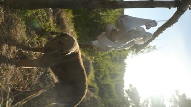 Alaska  Nouvelle vie (1).jpg