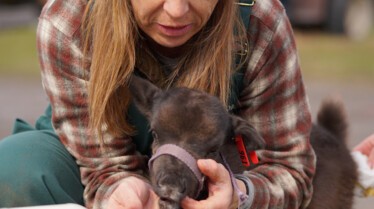 Michelle ou la vie sauvage  (1).jpg