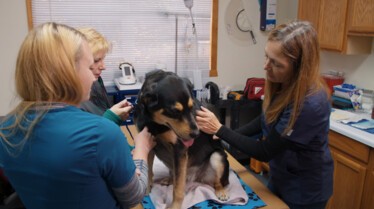 Michelle ou la vie sauvage  (2).jpg