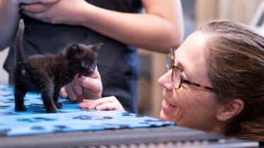 Michelle ou la vie sauvage  (3).jpg