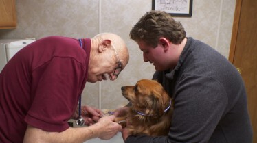 L'incroyable Dr Pol (3).JPG