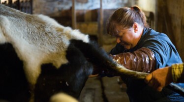 L'incroyable Dr Pol  (1).jpg