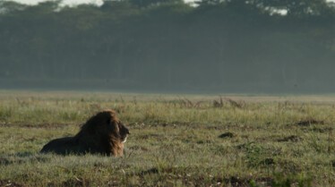 Afrique, royaume impitoyable  (3).jpg