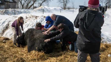 L’incroyable Dr Pol fête ses 80 ans (3).jpg