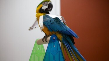 La clinique des animaux exotiques  (3).jpg