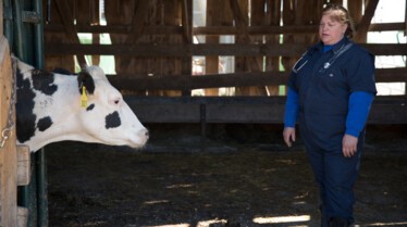L'incroyable Dr Pol  Une journée bien remplie (1).jpg