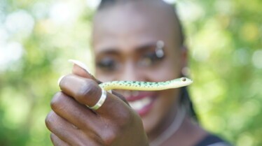 Snakes in the city (1).jpg