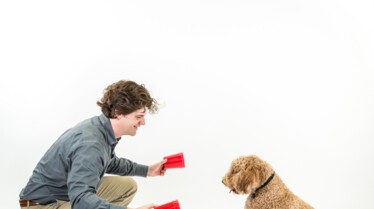 Votre chien est-il un génie (1).jpg