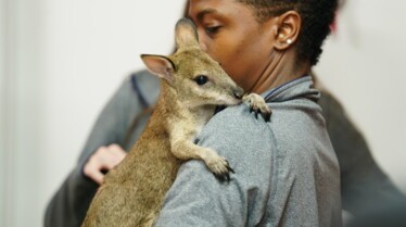La clinique des animaux exotiques (2).jpg
