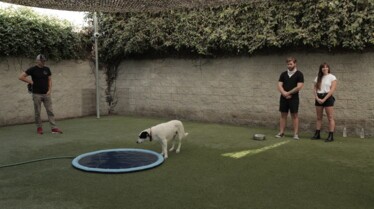 Dog impossible (3).jpg