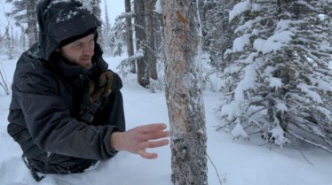 Alaska  Nouvelle vie (3).JPG