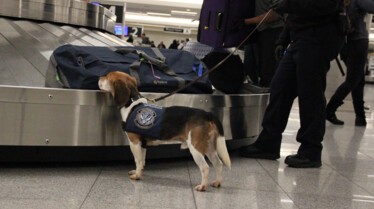 Ultimate airport USA  (1).jpg