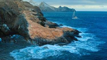 ep105_trackingoceangiants_epicadventureswithbertiegrego_e252b846.jpeg