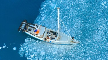 ep105_trackingoceangiants_epicadventureswithbertiegrego_f8a40d15.jpeg