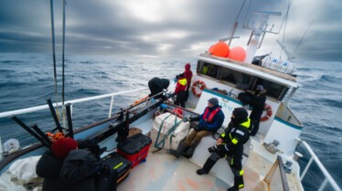 ep105_trackingoceangiants_epicadventureswithbertiegrego_fbdedb02.jpeg
