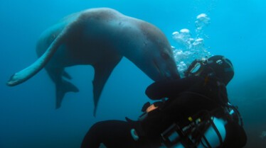 ep105_trackingoceangiants_epicadventureswithbertiegrego_ebf0344f.jpeg