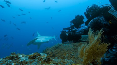 ep104_sharkisland_epicadventureswithbertiegregory_65-cg_7849f068.jpeg