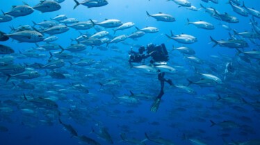 ep104_sharkisland_epicadventureswithbertiegregory_015-c_fd421eab.jpeg
